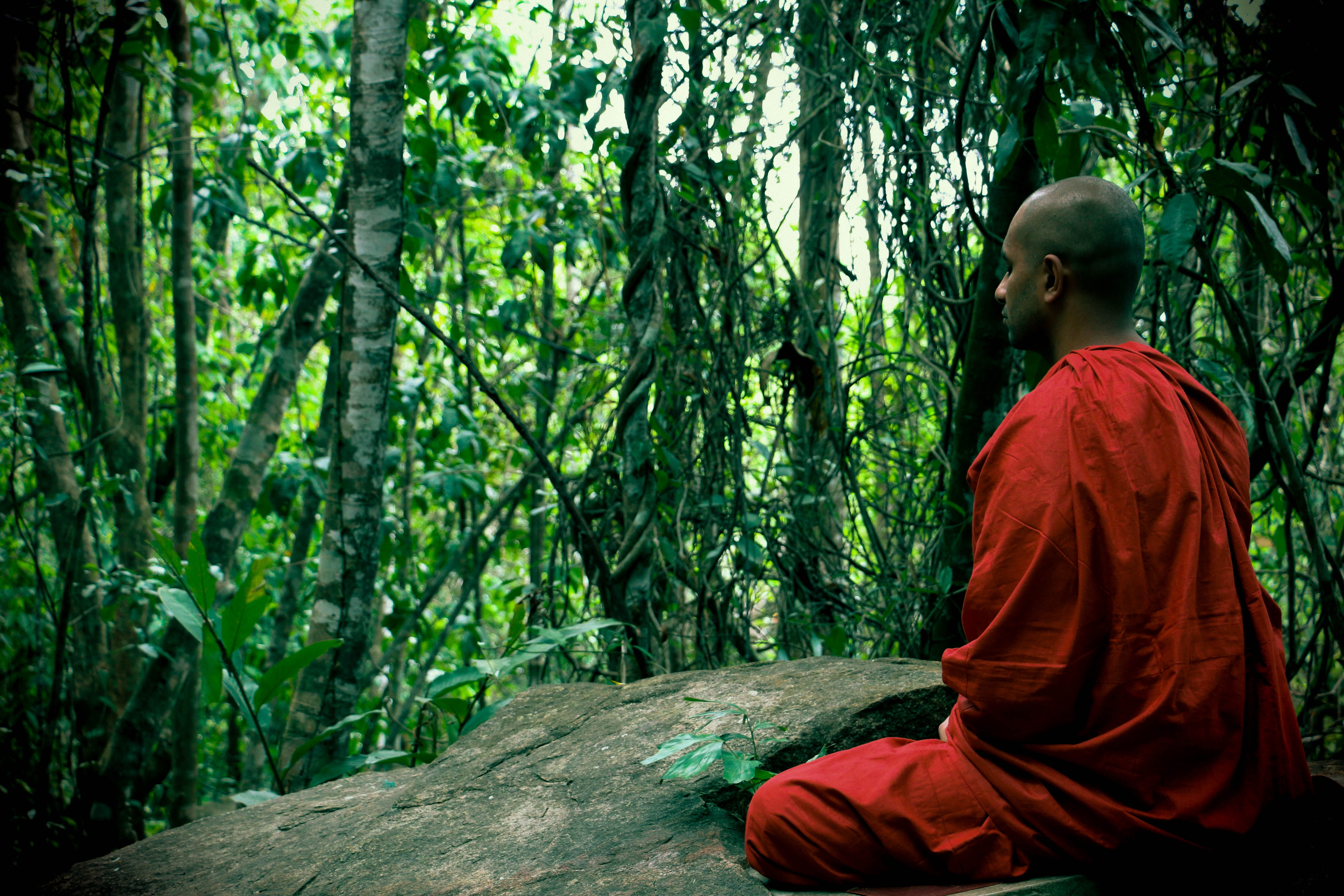 Mediate with a Monk