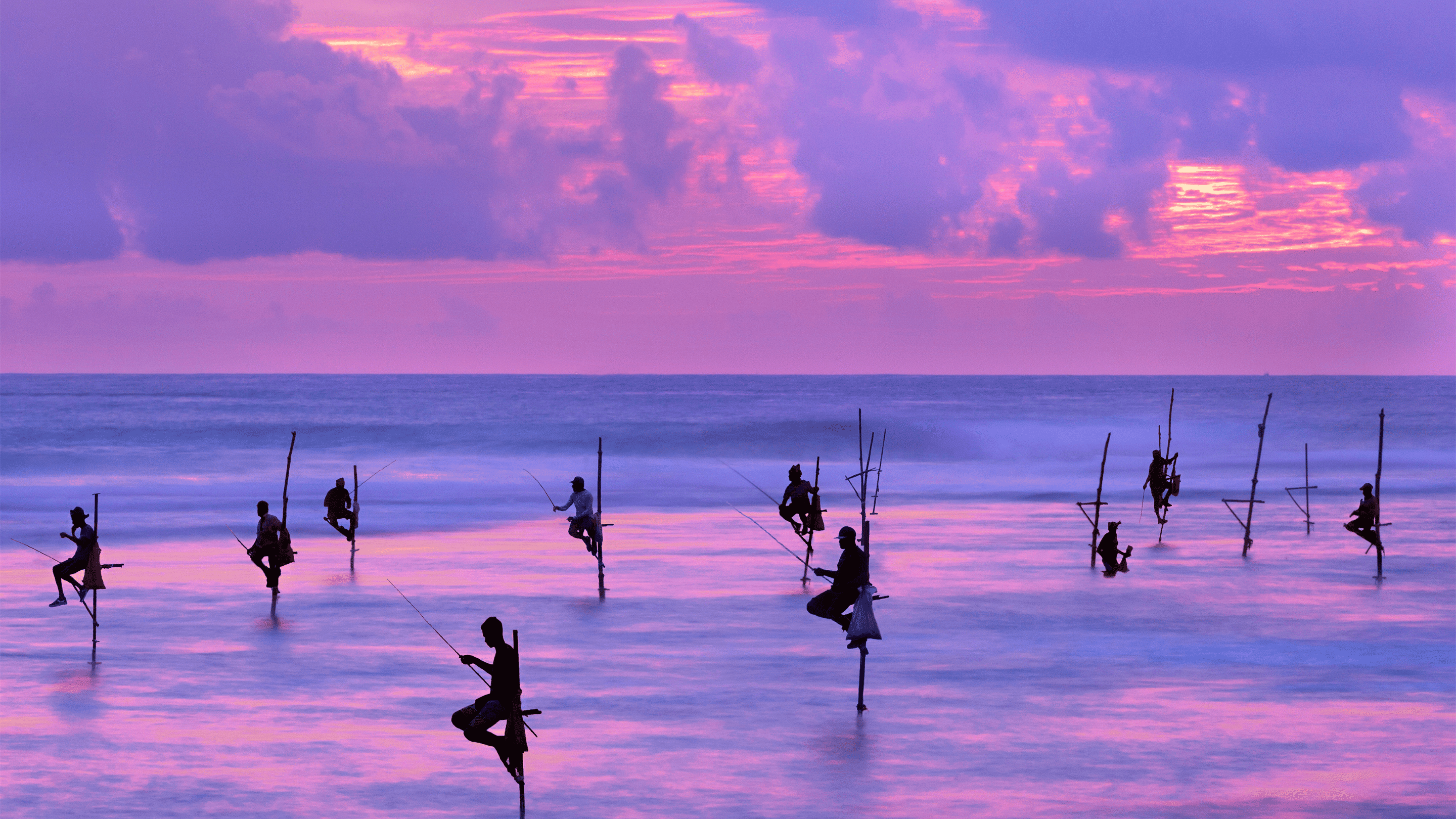 Traditional Stilt Fishing