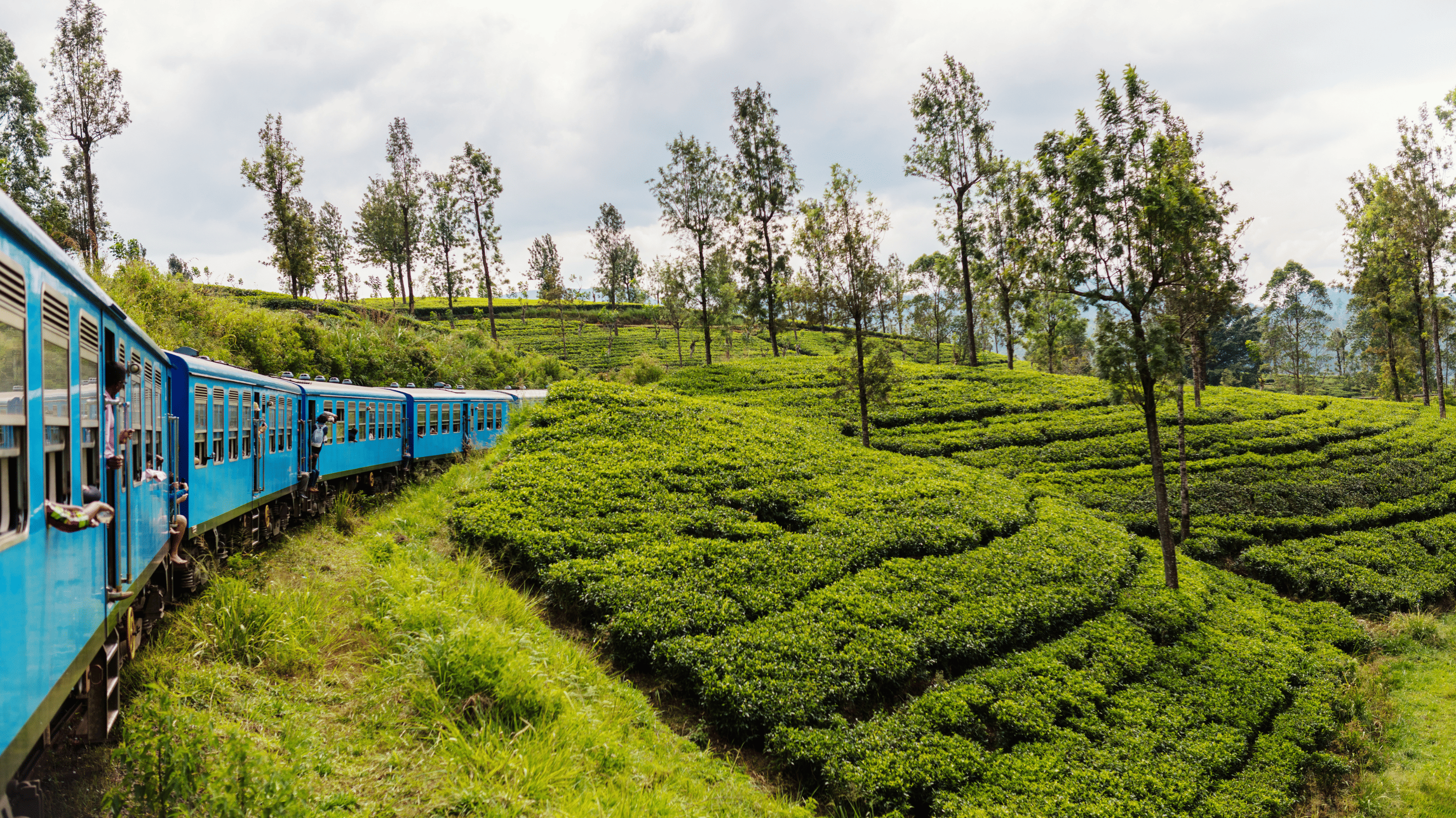 Sri Lanka Tea Plantations