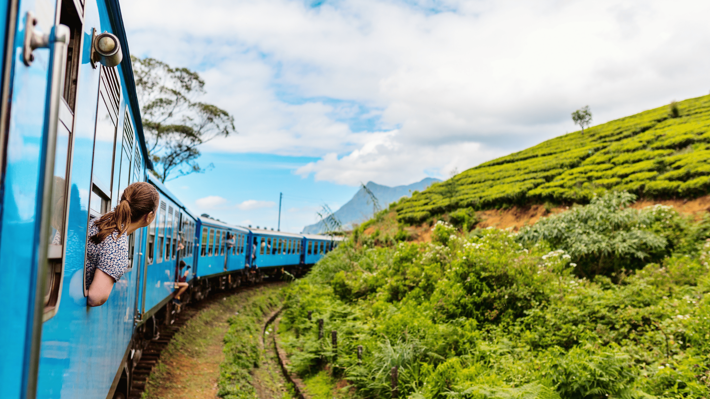 Train Journey Through Tea Country